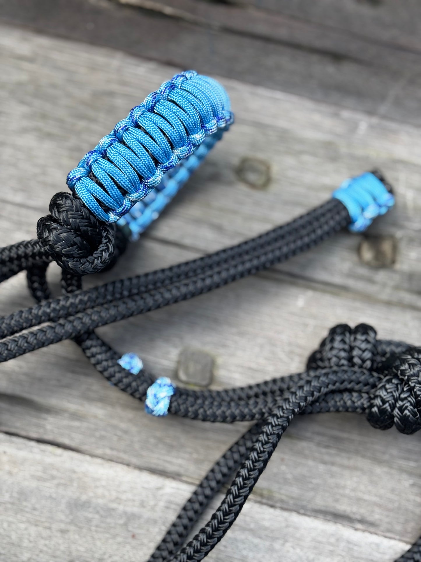 The Classic Braided Rope Halter Contrast