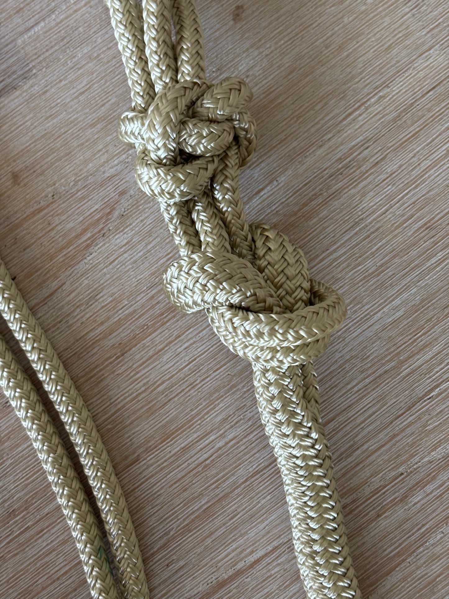Basic Rope Halter And Lead Set