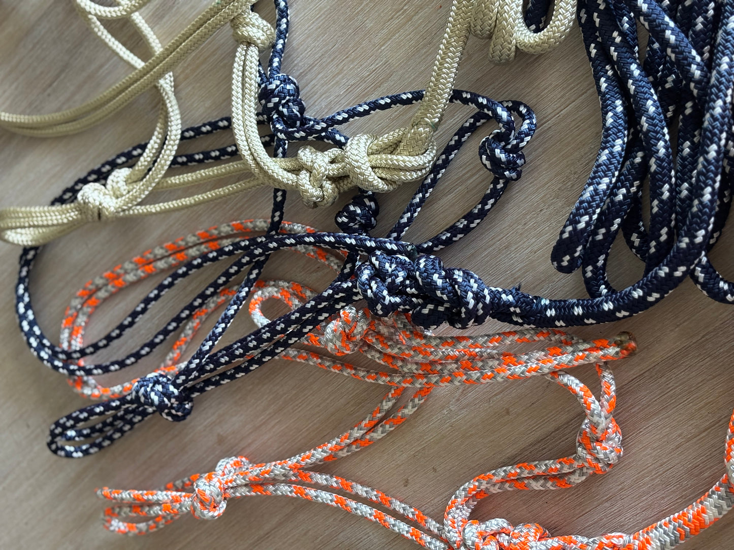 Basic Rope Halter And Lead Set
