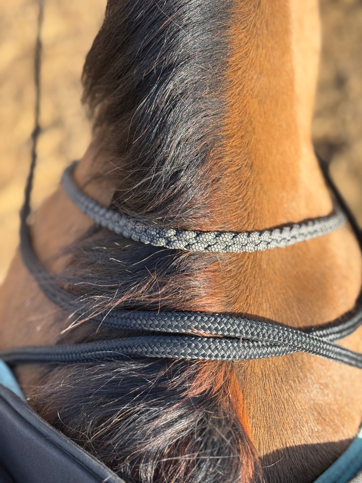 Rope Split Reins