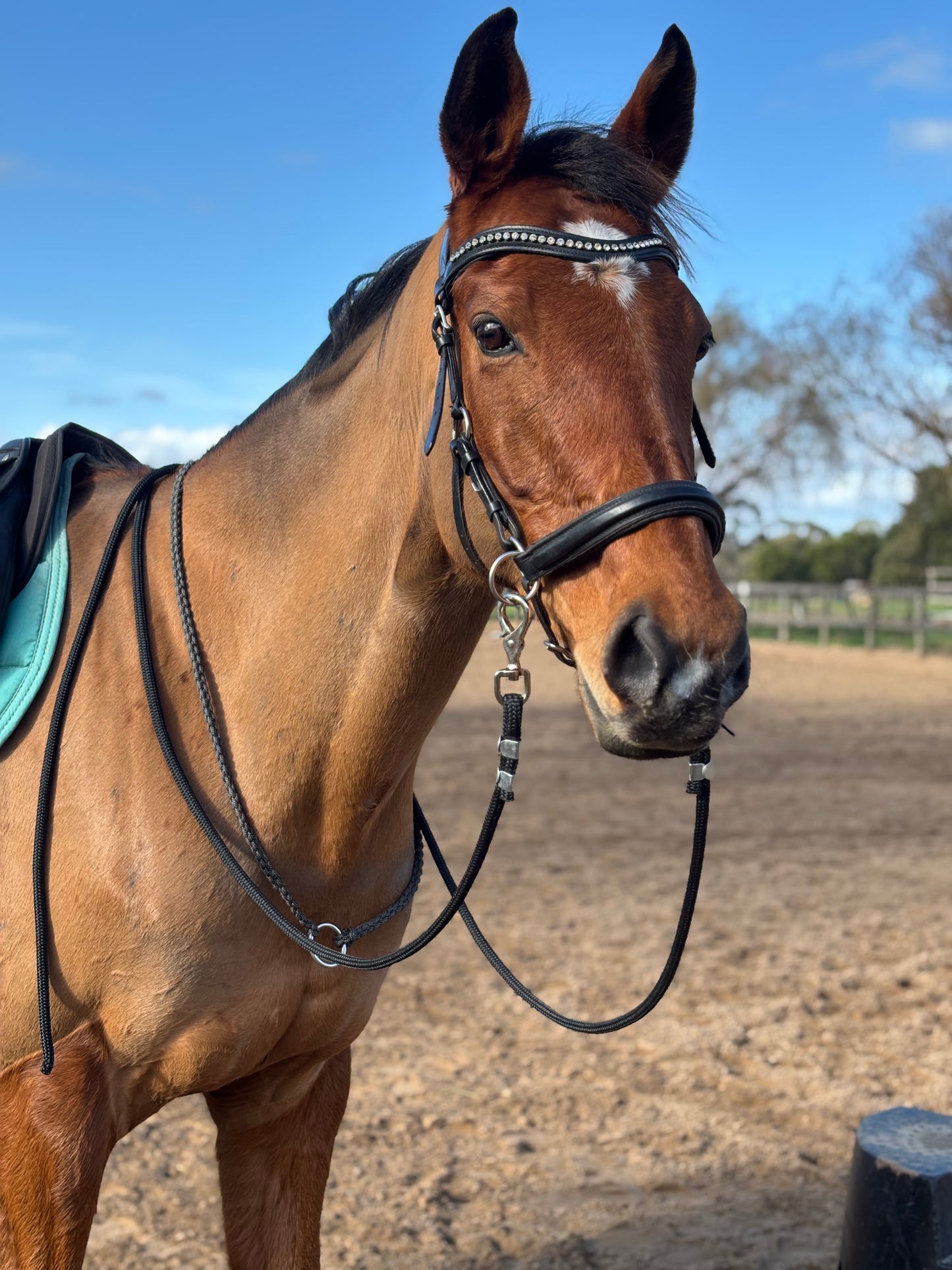 Rope Split Reins
