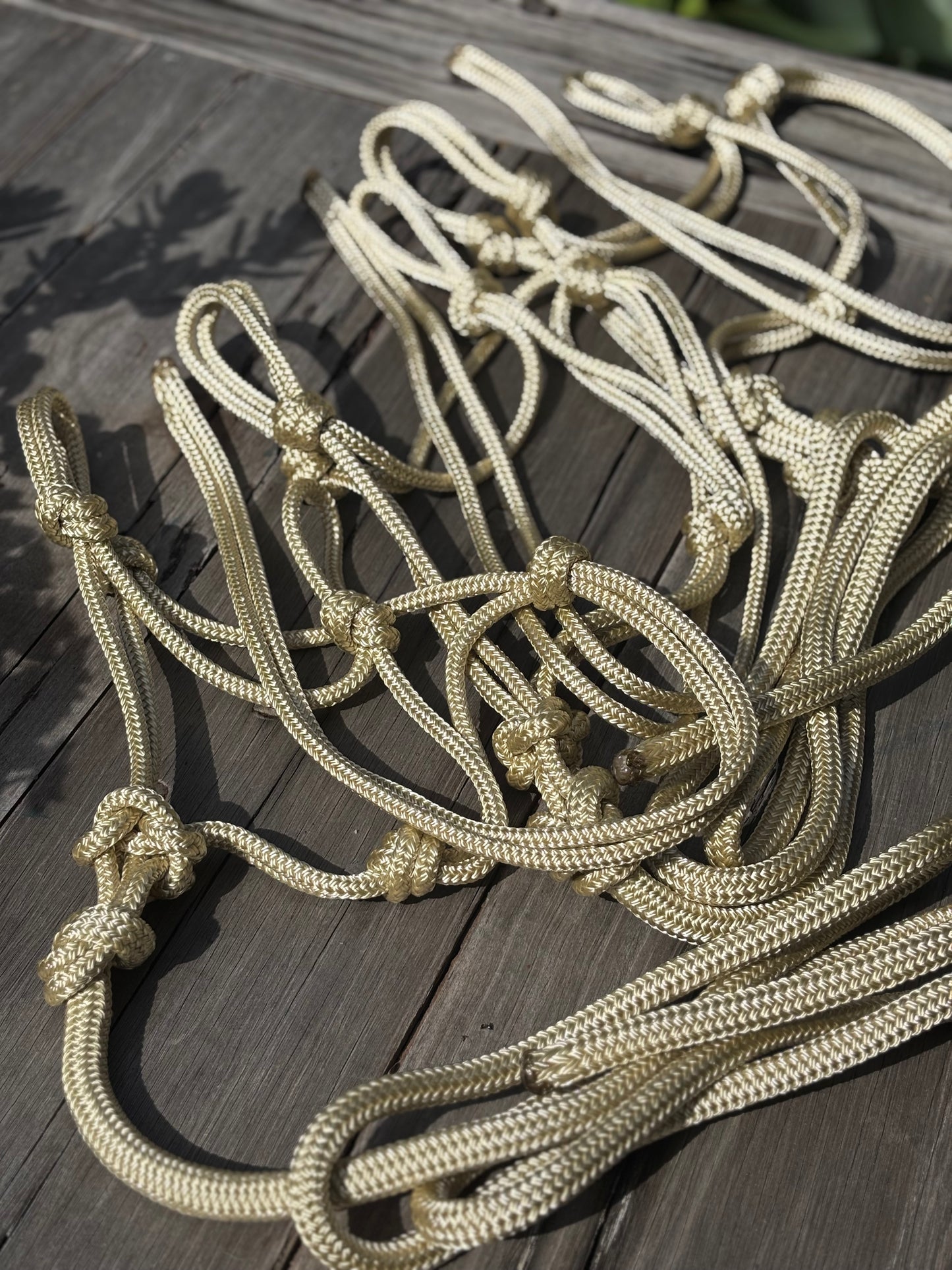 Pre-made Basic Rope Halter And Lead Set