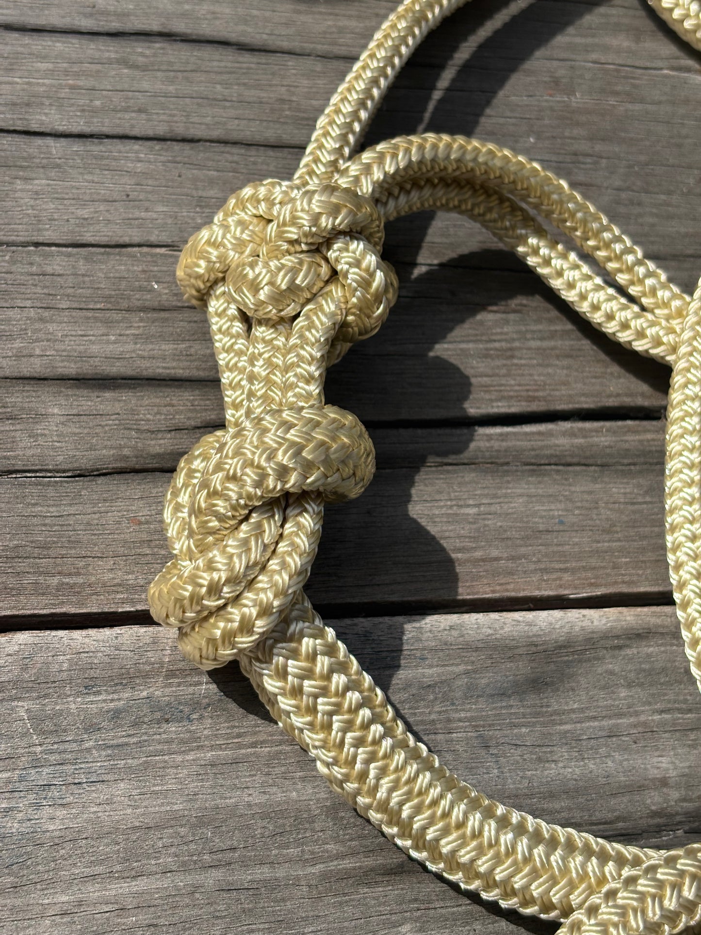 Pre-made Basic Rope Halter And Lead Set