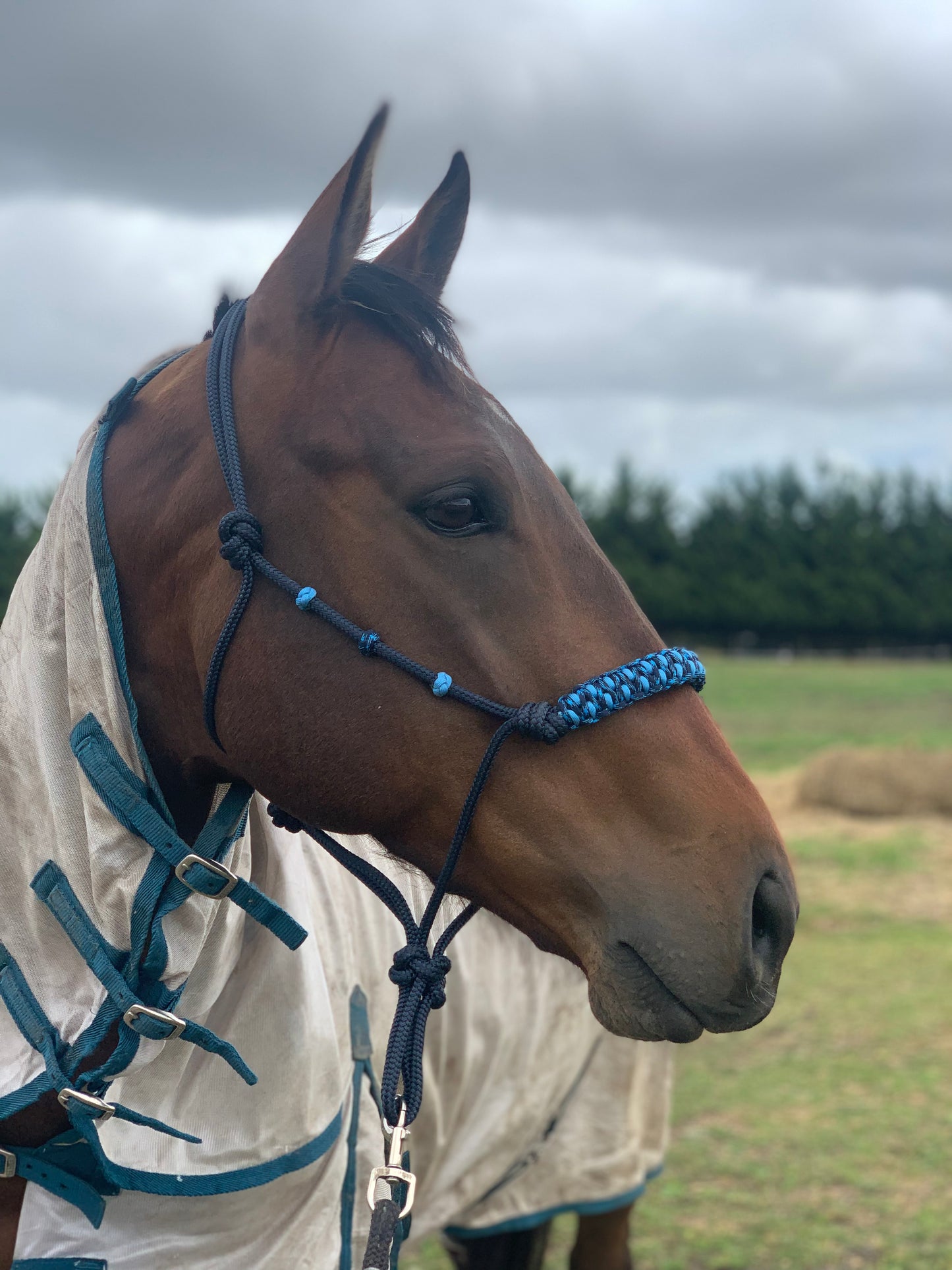The Classic Deluxe Rope Halter Contrast