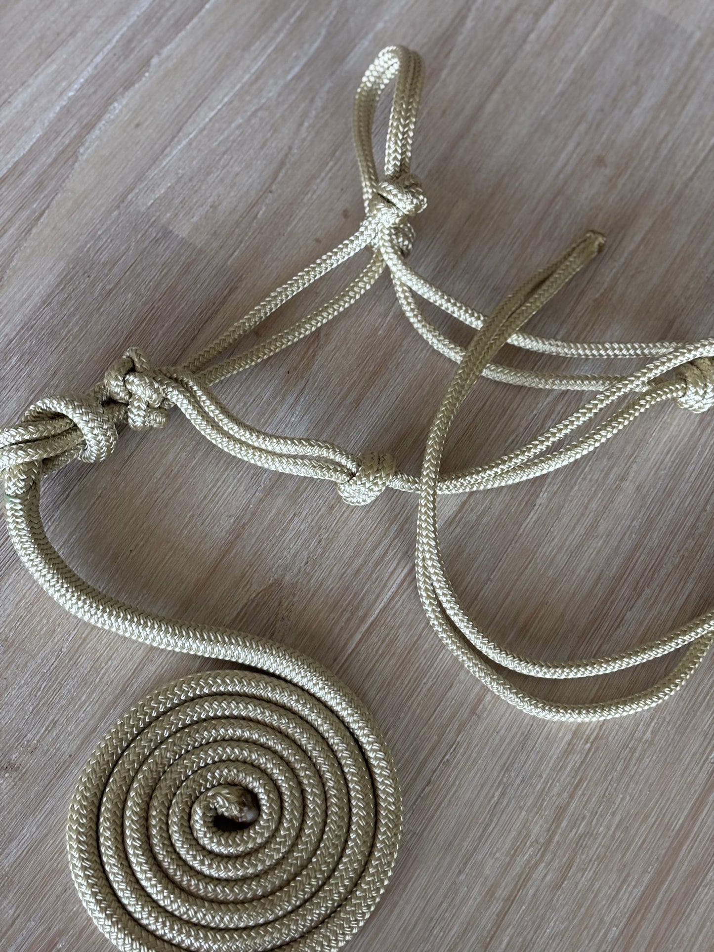 Basic Rope Halter And Lead Set