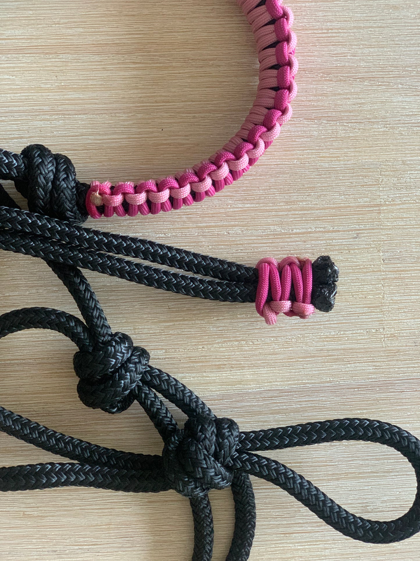 The Classic Braided Rope Halter Contrast