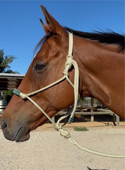 Clippless Lead Ropes
